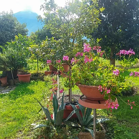 Armando Apartment Pianello Del Lario